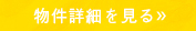 詳細を見る
